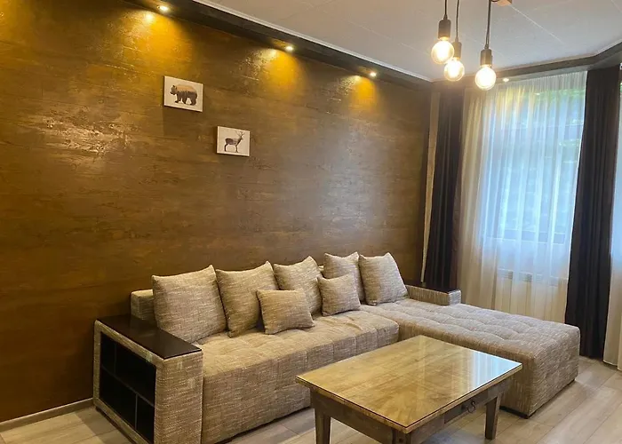 Deluxe 217 아파트 보로베츠